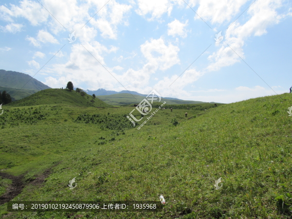 獨(dú)庫(kù)公路路邊草地