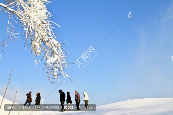 賞雪玩雪