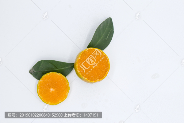 青香橘