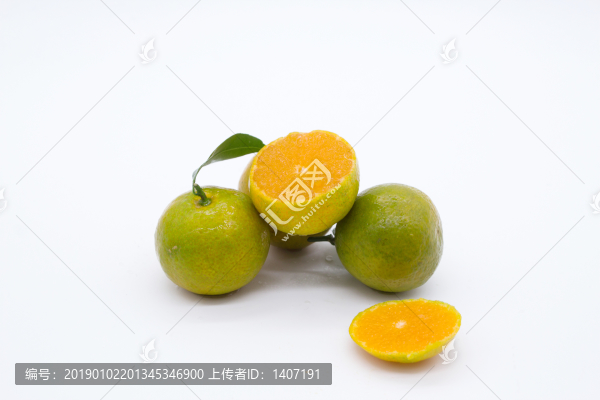 青香橘