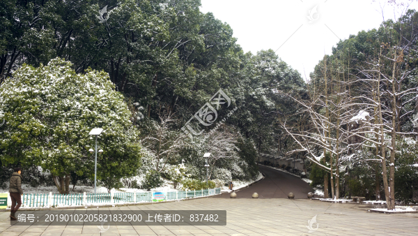 潔白如玉