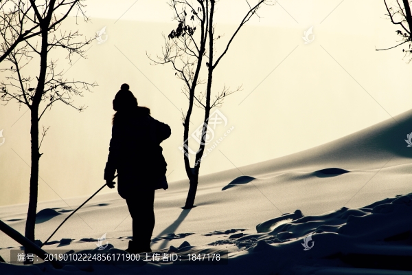 女孩雪地小樹