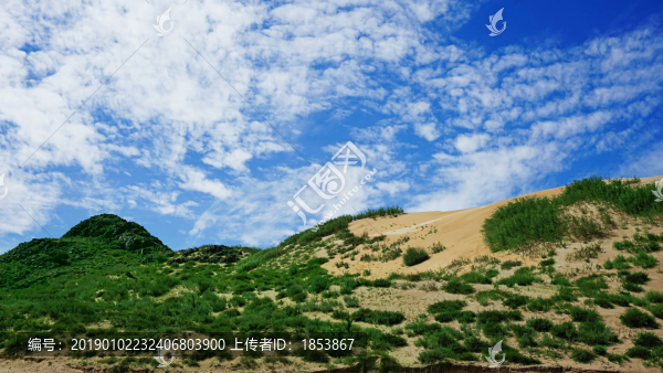 沙地