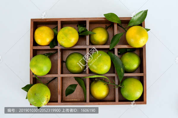 橙子廉江紅橙東紅江橙