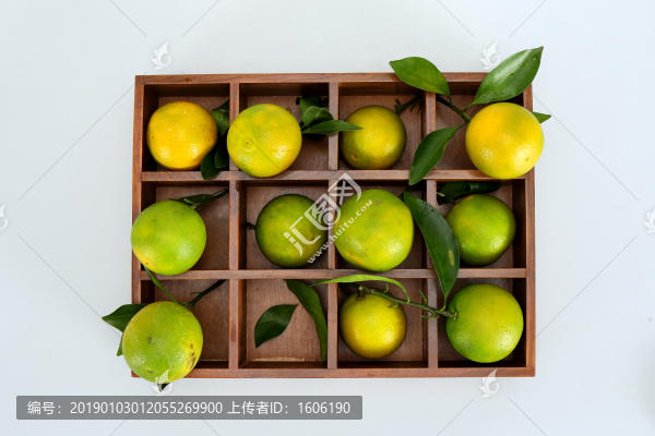 橙子廉江紅橙東紅江橙