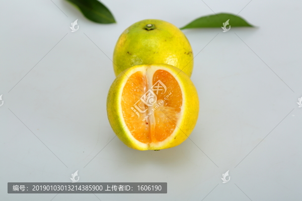 橙子廉江紅橙東紅江橙