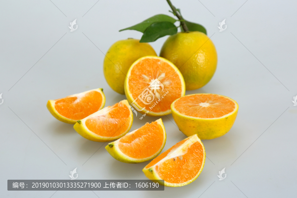 橙子廉江紅橙紅江橙