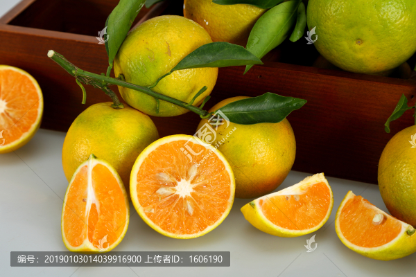 橙子廉江紅橙