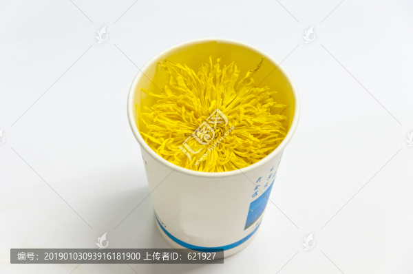 貢菊