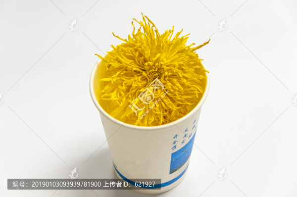 貢菊