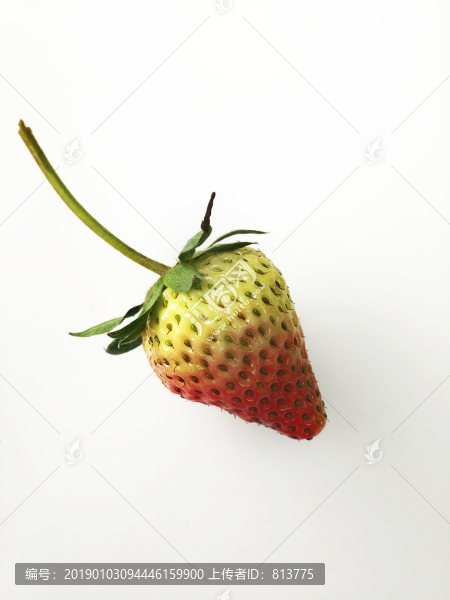 草莓素材