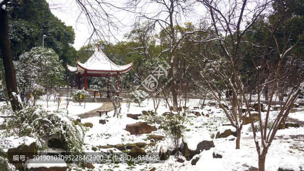公園雪景