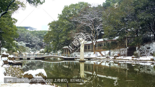 公園雪景