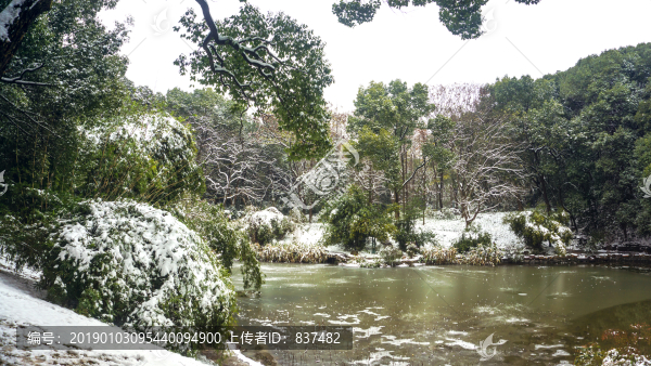 公園雪景