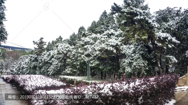 皚皚雪景