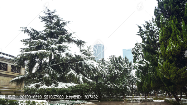 皚皚雪景