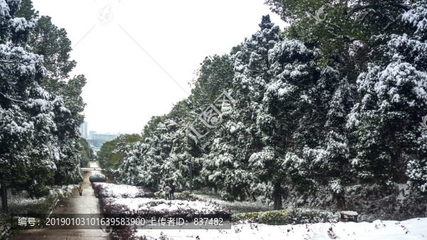 皚皚雪景
