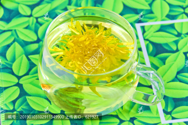貢菊