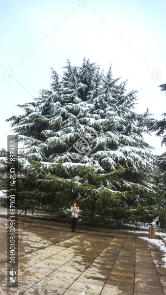 公園雪景