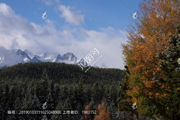 班芙之旅