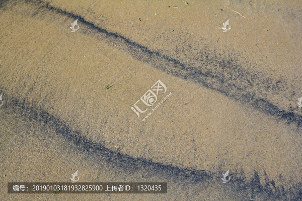 海灘
