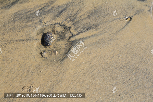 海灘