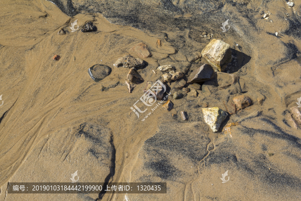 海灘
