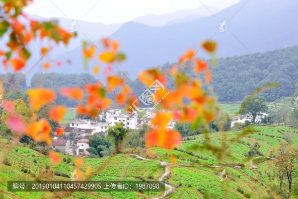 山村秋色