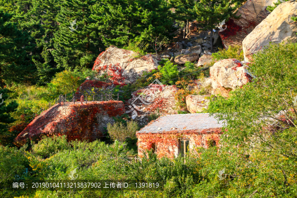 嶗山秋色