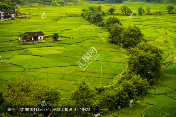 農(nóng)田