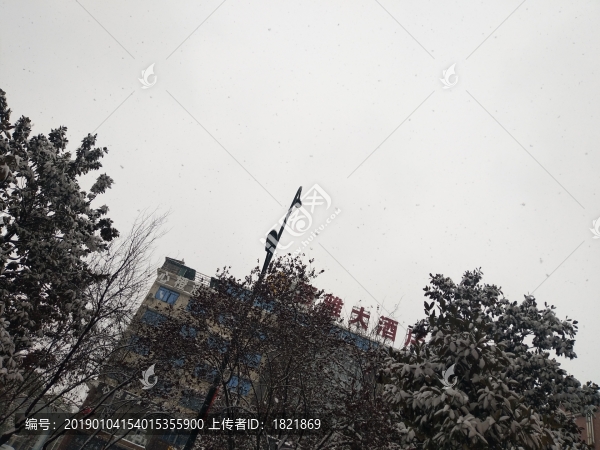 雪景
