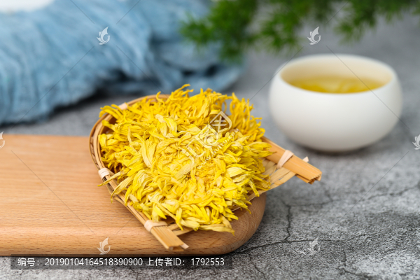 皇菊花