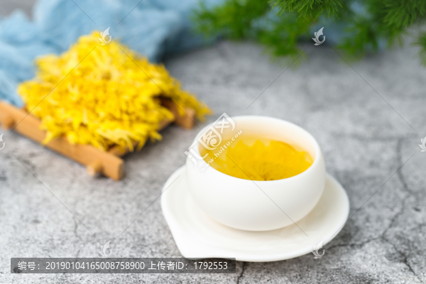 金絲皇菊