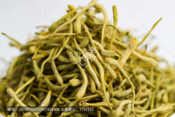 金銀花茶葉