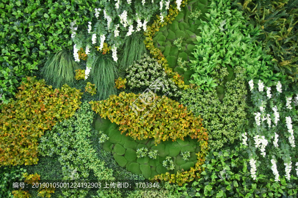綠色植物背景墻
