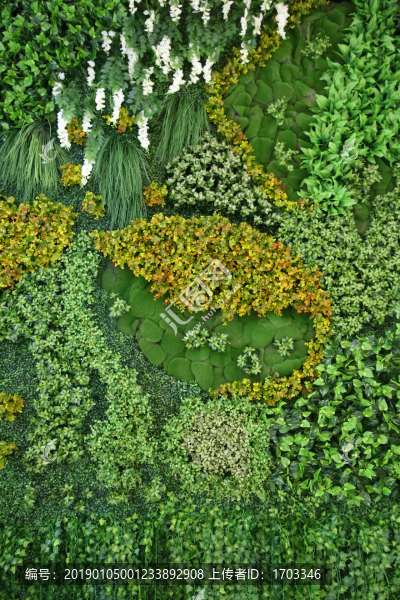 綠色植物背景墻