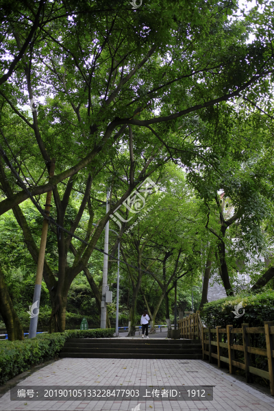 重慶三層馬路