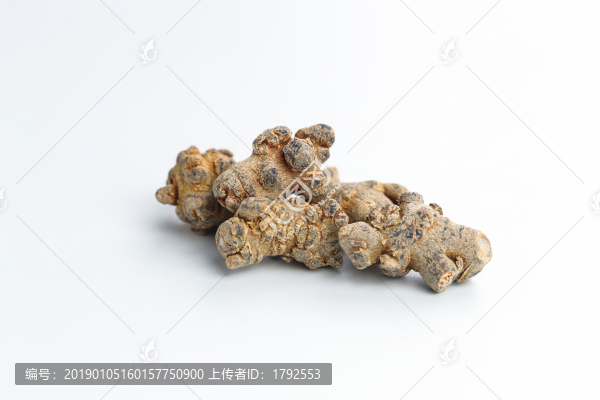 田三七