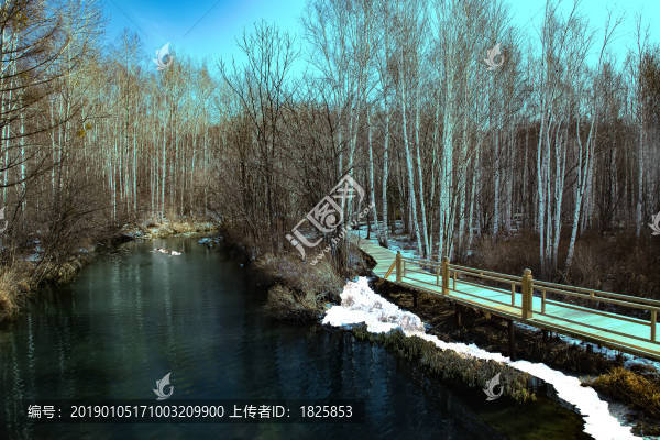 吉林露水河國家森林公園