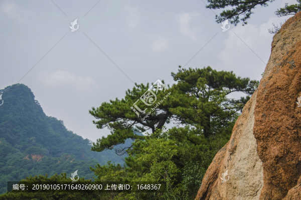 千山五佛頂山壁松樹(shù)與漫天白云
