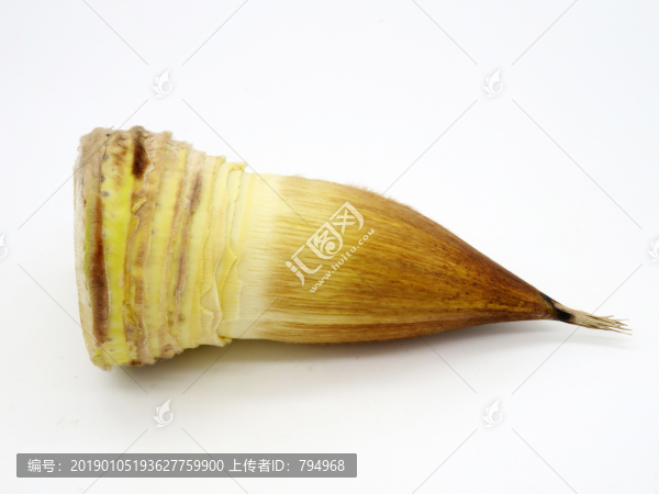 冬筍
