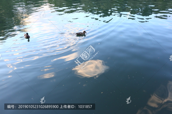 湖水