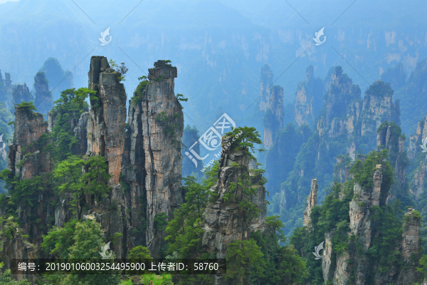 張家界砂巖峰林景觀