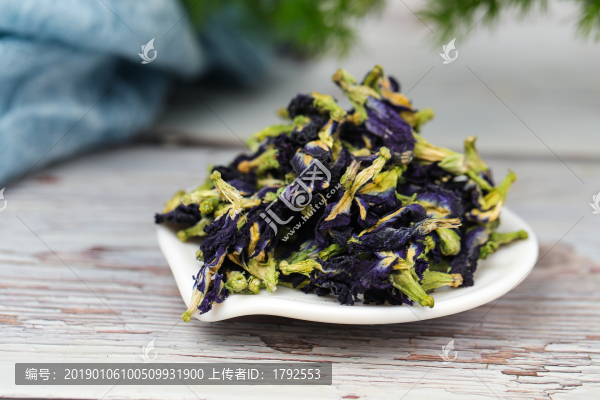 蝶豆花