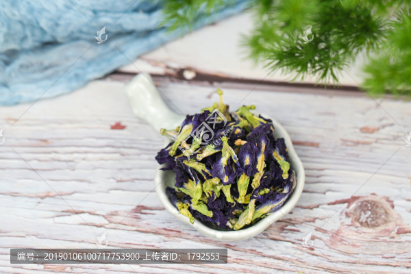 蝶豆花