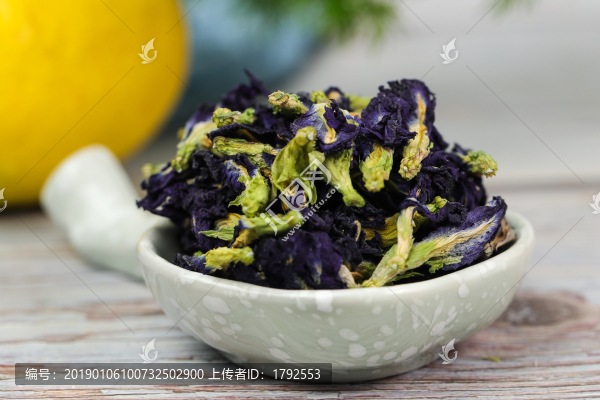 蝶豆花
