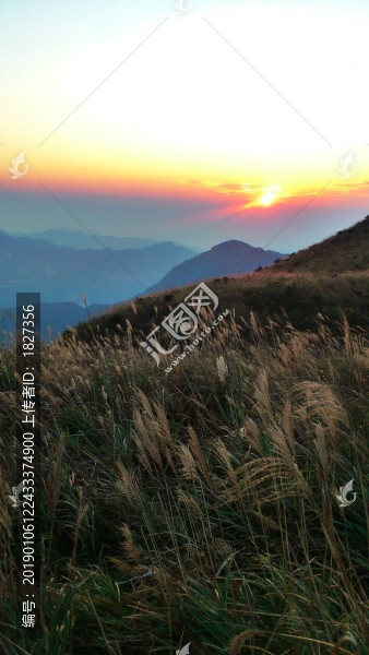 鳳凰山