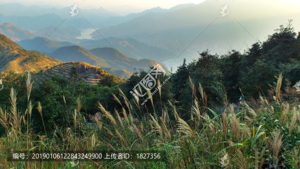 鳳凰山