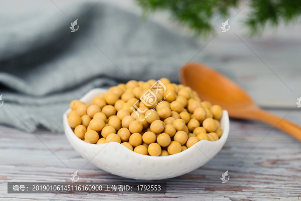 大豆