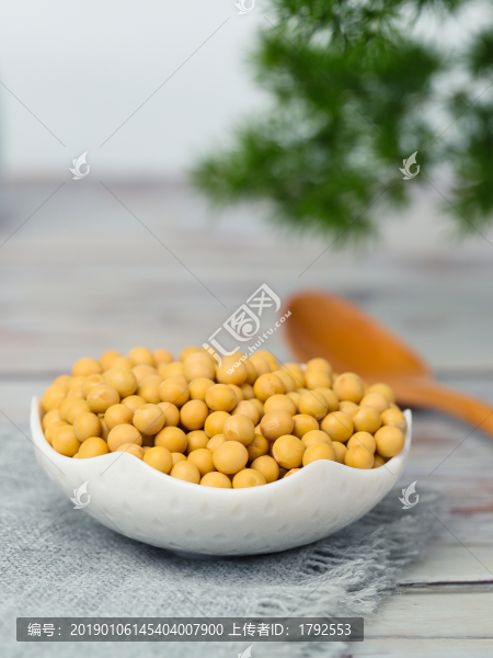 黃豆大豆